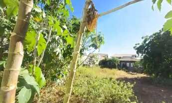 Imagem 6: TERRENO RESIDENCIAL REGIAO SUL