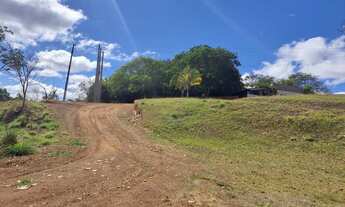 Imagem 2: Aluga-se pasto urbana e 2 terrenos comerciais direto acesso por BR 153 Jaiara/Anápolis
