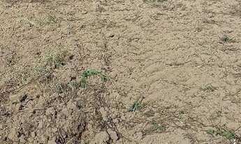 Imagem 2: Lindo terreno Chácara com venda por R$150.000