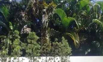 Imagem 5: Casa de 3 dormitórios à venda no Rio Tavares