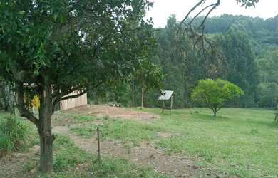 Imagem 3: CHÁCARA / ÁREA 5 HECTARES À VENDA EM TAQUARA - RS