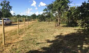 Imagem 7: Chácaras de 5.000 m2, Planas, Cerca tratada, em Taboquinha a 30 klm de Braslandia