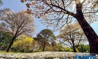 Imagem 3: CASA EM CONDOMÍNIO - ALPHAVILLE - SP