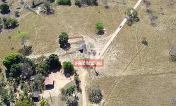 Imagem 3: Fazenda 17.3 Alqueires (83,72 Hectares ) Cezarina - Go