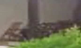 Imagem 4: Vendo casa no bairro Cidade Jardim