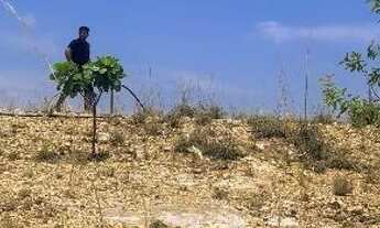 Imagem: Terreno próximo ao Dr Fábio