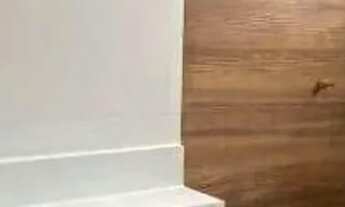 Imagem 6: Casa com 3 dormitórios à venda, 150 m² por R$ 900.000,00 - Costazul - Rio das Ostras/RJ