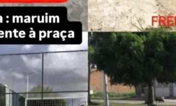 Imagem: Vende-se terreno na Divineia