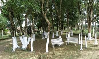 Imagem 4: Chácara 3 mil metros