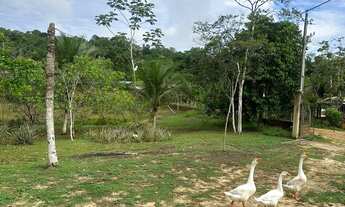 Imagem 7: Vendo sítio Chácara com venda por R$300.000