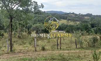 Imagem 7: Área Rural à Venda em Aragoiânia GO ? 4 a 7 Alqueires, Represa e Vista Privilegiada