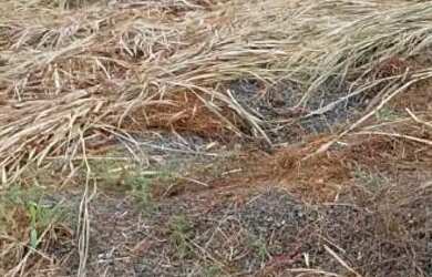 Imagem: Vende-se terreno no João de barro motivo