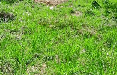 Imagem 3: Lote Terreno / lote com venda por R$15.000