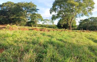 Imagem 7: Chácara de 1.000 metros em Campo Limpo