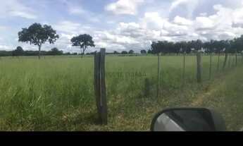 Imagem 5: SITIO 60 HECTARES 13 KM DE PORTO ESPERIDIÃO-MT