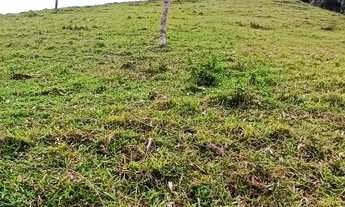 Imagem 4: Sitio em Antônio Carlos