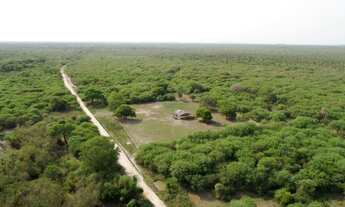 Imagem 2: Fazenda 500ha no Paraguai