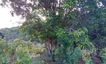 Imagem 2: Água De Rio!!!Saída Pirapora!!Área total 3.5 Hectares