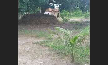 Imagem 2: Sitio Chácara com venda por R$150.000