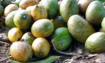 Imagem 6: Água De Rio!!!Saída Pirapora!!Área total 3.5 Hectares