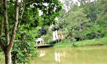 Imagem 4: Terreno 1250 m² excelente localização aclive leve terraplanagem poucas árvores