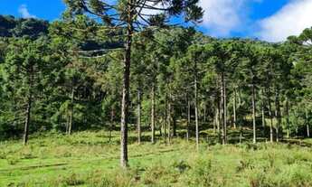 Imagem 2: Francisco Krtiscka Corretor de Imóveis