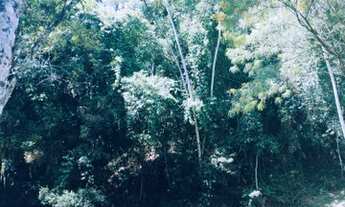 Imagem 4: Fazenda/Sítio/Chácara para venda com 20000 metros quadrados em Taiaçupeba - Mogi das Cruze