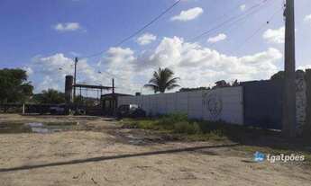 Imagem 6: Terreno com 3.000 m² na BR 101 em Recife - PE