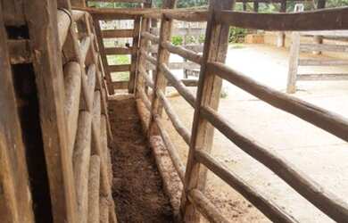 Imagem 3: ALAMBIQUE !!! AGRICULTURA E PECUÁRIA!!!12 DIVISORIAS DE PASTAGEM!!!!