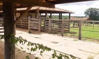 Imagem 5: ALAMBIQUE !!! AGRICULTURA E PECUÁRIA!!!12 DIVISORIAS DE PASTAGEM!!!!