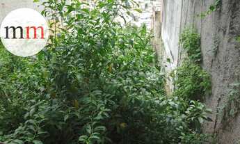 Imagem 11: Excelente terreno!