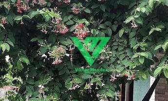 Imagem 3: Casa com 7 dormitórios à venda, 282 m² por R$ 2.000.000,00 - Manaíra - João Pessoa/PB