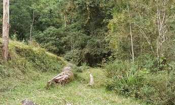 Imagem 5: Sitio em Antônio Carlos