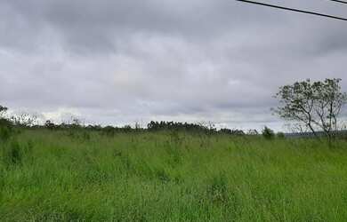 Imagem 6: Terreno 4 Alqueires Pilar do sul sp