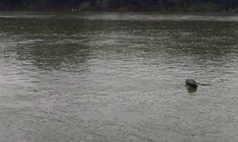 Imagem 2: Chacara em santo Antônio/ barra do arica