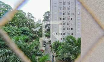 Imagem 5: Apartamento para Aluguel - Jardim Iris , 2 Quartos, 45 m2