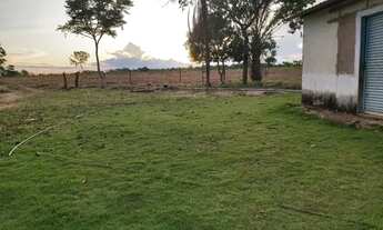 Imagem 7: FAZENDA BEIRA DE RIO 84 HA