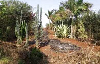 Imagem 2: Terreno em rua - Bairro Gasparelli em Alvorada do Sul