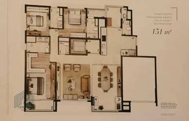 Imagem 7: Altier Moema Pássaros