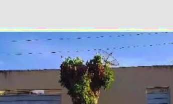 Imagem: OPORTUNIDADE CAIXA - LUIS ANTONIO - SP