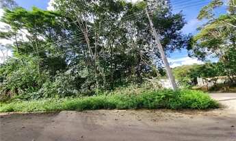 Imagem 4: Vendo Lote no Residencial Bosque Palmas