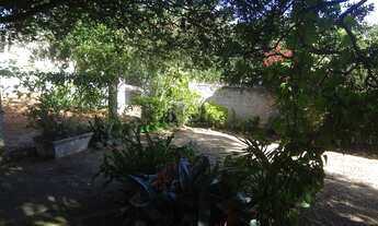 Imagem 6: Casa para Venda - 283.5m², 3 dormitórios, sendo 1 suites, 4 vagas - Belém Novo