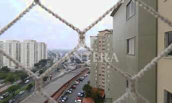 Imagem 7: Apartamento para aluguel no bairro Parque Marajoara