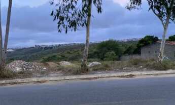 Imagem 6: Terreno na Cohab 3