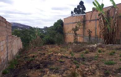 Imagem 3: Vendo ou troco em Contagem