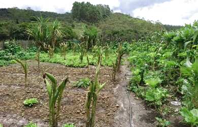 Imagem 7: Terreno 13 ha, com casa, água por gravidade, nascente, Serra do Cipó