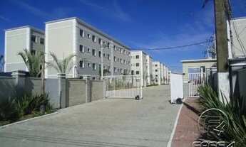 Imagem 2: ED. REC. DAS BORBOLETAS