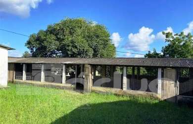 Imagem 7: FAZENDA POVOADO TIJUPEBA EM ITAPORANGA D´AJUDA