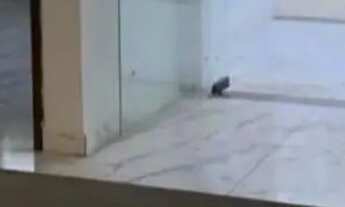 Imagem 4: JL - CONQUISTE SUA CASA ATRAVÉS DO PARCELAMENTO