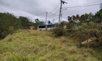 Imagem 2: TERRENO 3000m2 GRANJEAMENTO DIAS TAVARES COM ENERGIA ELÉTRICA E ILUMINAÇÃO PÚBLICA ÔNIBUS